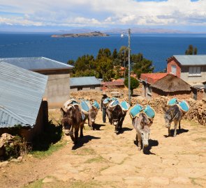 Na ostrově Isla del Sol nejezdí auta