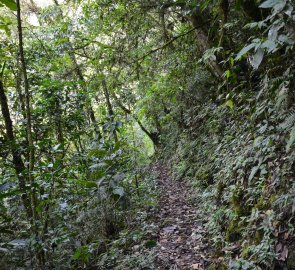 The road to the waterfall on the other side of the Rio Unduavi