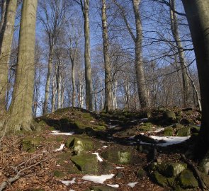 Cesta na vrchol kopce Ocásek 553 m n. m.