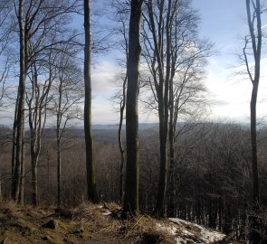 Pohled z vrcholu kopce Ocásek na Chřiby