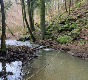 The second crossing was made possible by the logs in the water