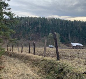 The path around the pastures