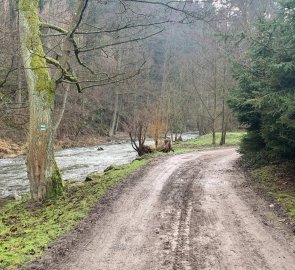 Libochovka river valley