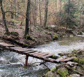 This luxurious bridge was used for the first river crossing