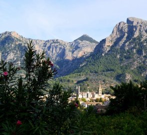 Soller