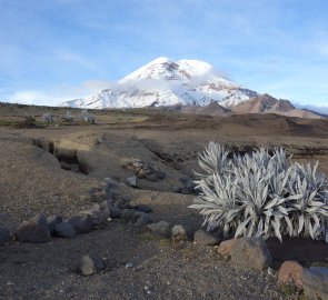 Chimborazo od brány NP