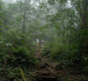 Výstup na Gunung Rinjani - kousek nad nástupním místem nad Senaru v pralese