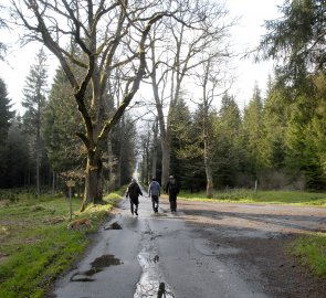 Cesta ze Žofína do Černého Údolí