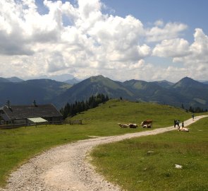 Horské salaše, v pozadí hora Zwölferhorn. Po této cestě je možné sestoupit do městečka St. Wolfgang