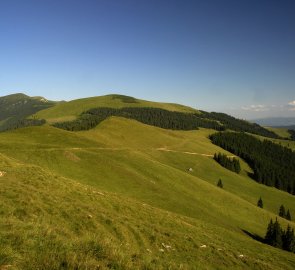 Louky a poloniny pohoří Suhard