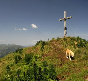 Vrchol Schober Spitze, bohužel byl celý pokrytý lejny od krav...