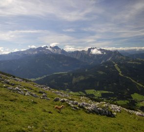 Dachstein from Mount Gamsfeld