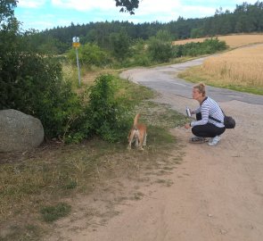 Na křižovatce nad Velkým Meziříčím