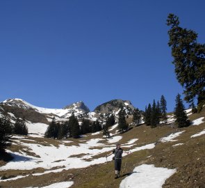 Sestup do údolí od salaší Moos Alm v Eisenerských Alpách