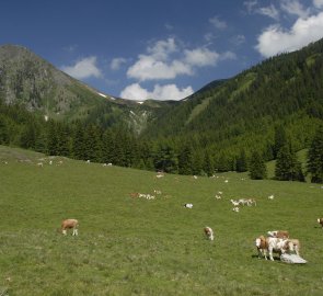 Údolí Pölsen, v pozadí hora Zinken Kogel