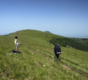 Poloniny v západní části pohoří Rodna