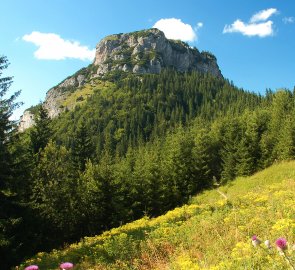 Pohled na Malý Rozsutec 1 343 m n. m. během výstupu do sedla Medzirozsutce