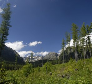 Pohled na Vysoké Tatry z cesty na Popradské pleso