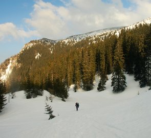 Cesta v lesní části Schneebergu