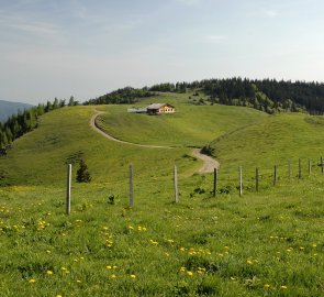 Horské louky a chata Sparbach Hütte