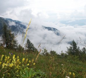 Horské pastviny nad obcí Kammern im Liesingtal