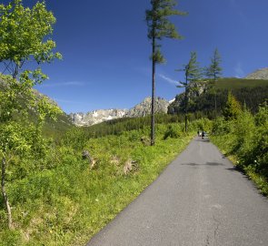 Asfaltová cesta na Popradské pleso