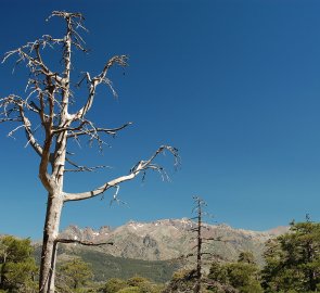 Pohled na sever na masiv Monte Cinto 2 706 m n. m. na Korsice