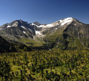 Pohled na Hoher Sonnblick a Hocharm z vrcholu Kolmkar Spitze