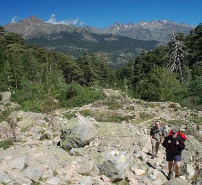 New views open up above the tree line