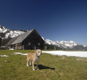 Salaše Seisen Alm v sedle Admonter Höhe