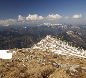 The Ybbstal Alps - view from the top of Mount Ötscher to Dürrenstein