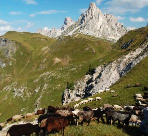 Na cestě k hoře Monte Cernera v italských Dolomitech