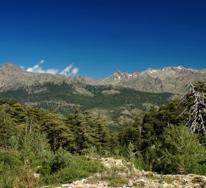 Pohled na sever na masiv Monte Cinto 2 706 m n. m.