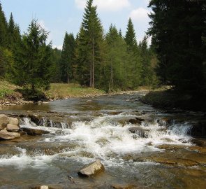 Říčka Polhoranka, kolem které jsme se vraceli do vesnice.