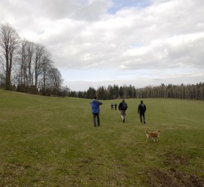 Šumavské louky u Velkého Kozího Hřbetu