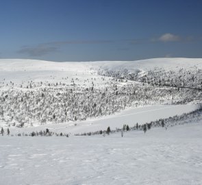 View of the valley in which the Rautulampi cabin is located