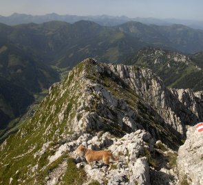 Vrcholový hřeben hory Lugauer