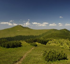 Pohled na nejvyšší horu pohoří Suhard - Vf. Omu 1 932 m n. m.