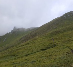 Slopes of the Pleschnitzzinken mountain