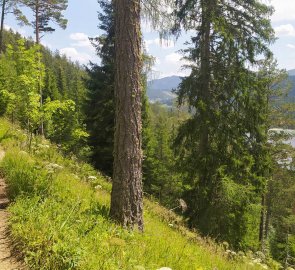 Trail to Lake Erlaufsee