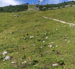 Descent in the serpentines below the cable car