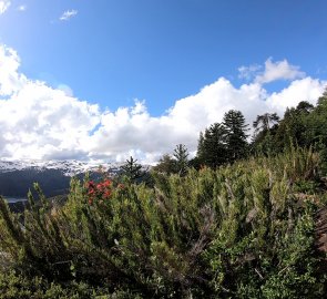 Views of the lake and the Andes