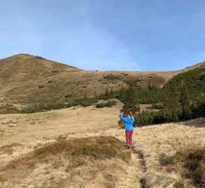 Climbing up to the Triebener Törl saddle