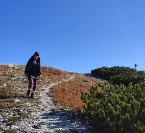 Just below the summit