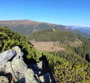 View during the ascent towards Stuhleck