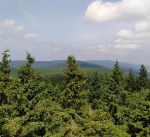 Pohled na Orlické hory z rozhledny na Anenském vrchu