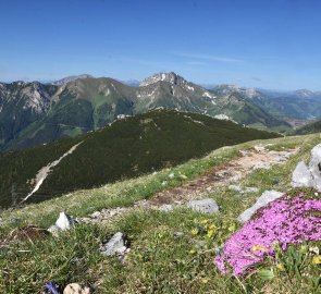 Beauty of the Alps