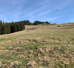 Descent through open terrain on meadows