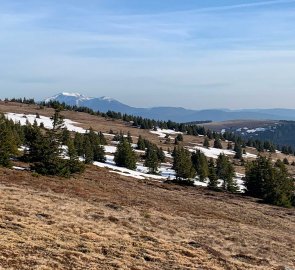 Schneeberg peeks out for the first time