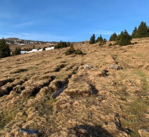 Mountain meadows leading up to Hochwechsel